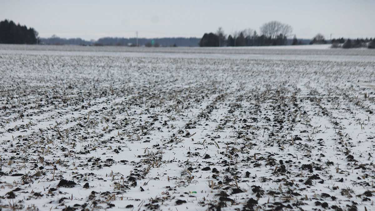 Snow covers fields in Grundy County, Ill.